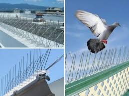 Bird and Pigeon Control Spikes in Hyderabad - Anti-Roosting Solution