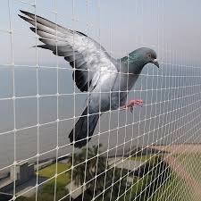 Pigeon Nets Installation in Hyderabad - Professional Pigeon Control Service